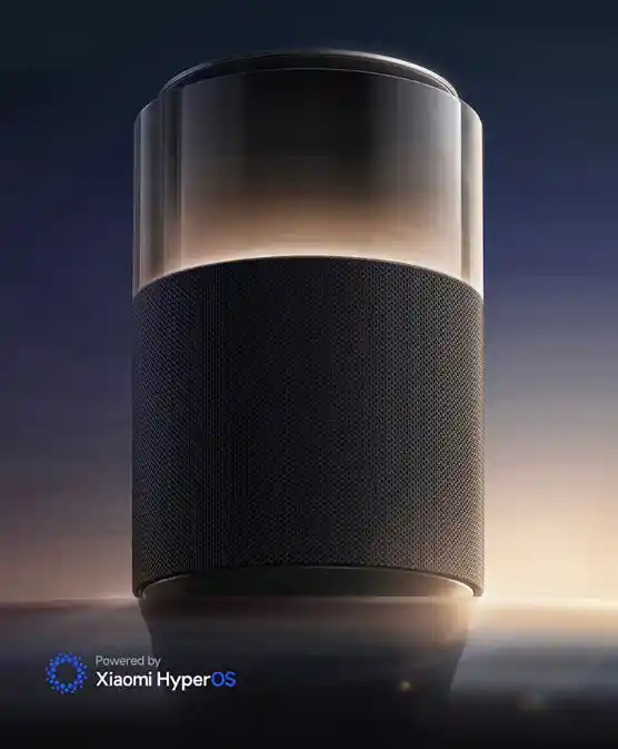 小米智能音箱销量飙升，市场格局颠覆，独揽超六成市场份额