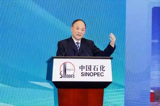 李书福呼吁：转型绿色甲醇，解救油车最后一口气