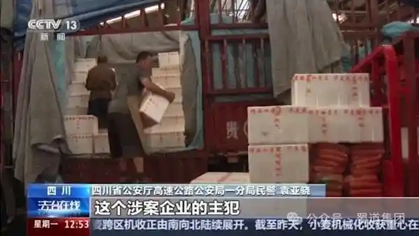伪装盛宴：揭秘绿通车背后的百万逃费迷局