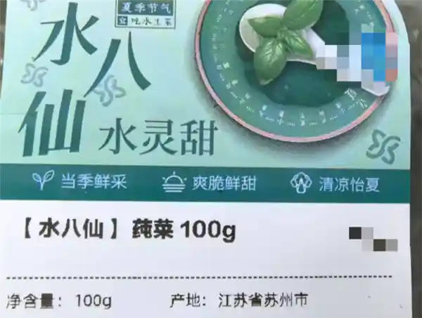 水底美味密码：这道菜鲜到让人停不下来！