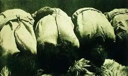 枕头背后的科学：为何人类需要它才能睡得更好？
