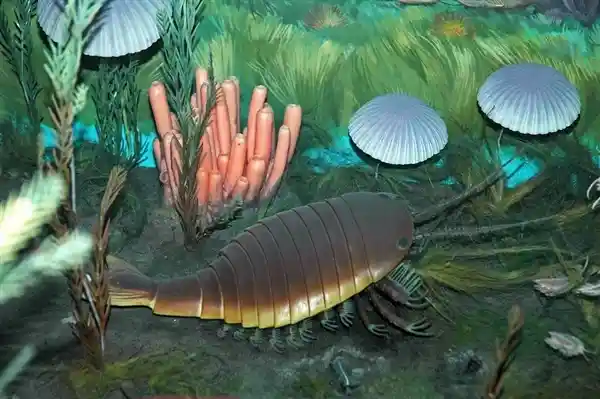 首登陆地的神秘生物：它们如何突破水域，开启陆地生存新纪元