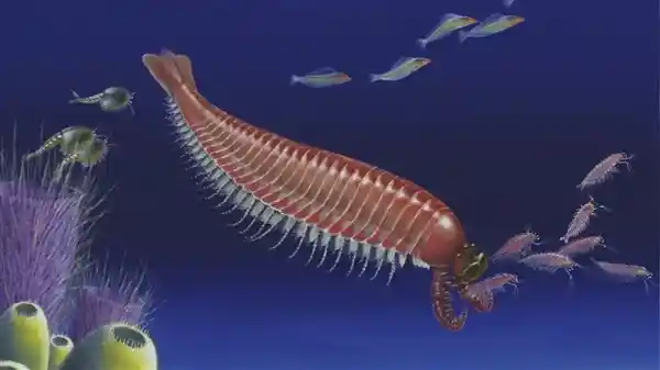 首登陆地的神秘生物：它们如何突破水域，开启陆地生存新纪元