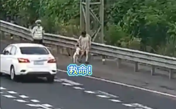 狗在车内拉屎引高速停车铲屎，司机：应急车道就是用来应急的！