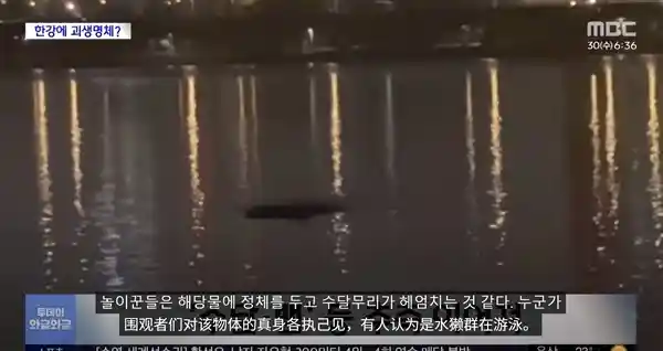 汉江惊现神秘巨物！专家称或为浮漂，市民恐慌升级