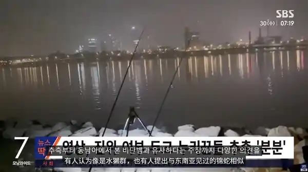 汉江惊现神秘巨物！专家称或为浮漂，市民恐慌升级