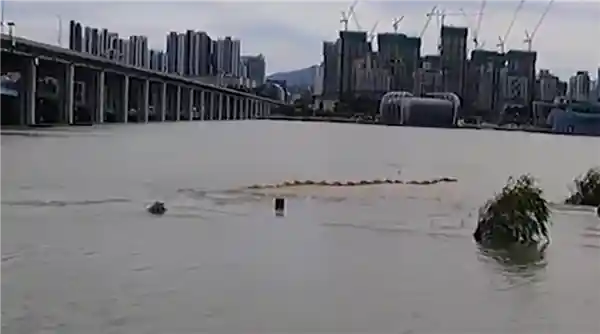 汉江惊现神秘巨物！专家称或为浮漂，市民恐慌升级